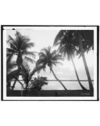 Sunset on Lake Worth, Palm Beach, Fla., ... by Library of Congress