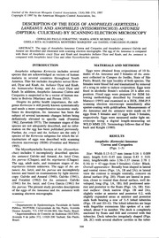 Joint Force Quarterly (Jfq) : Issue 4; S... Volume Issue 4 by Ellason, William T.